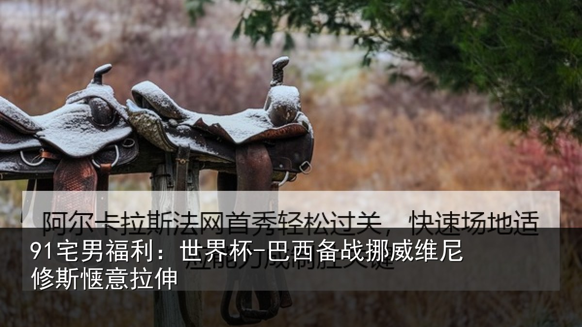 91宅男福利：世界杯-巴西备战挪威维尼修斯惬意拉伸