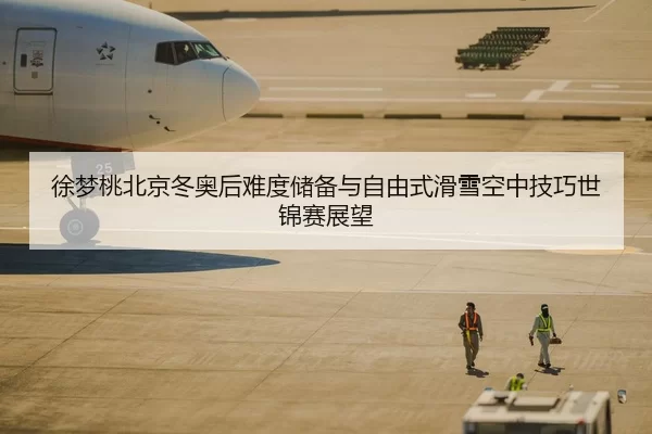 徐梦桃北京冬奥后难度储备与自由式滑雪空中技巧世锦赛展望