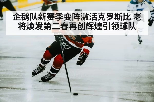 企鹅队新赛季变阵激活克罗斯比 老将焕发第二春再创辉煌引领球队