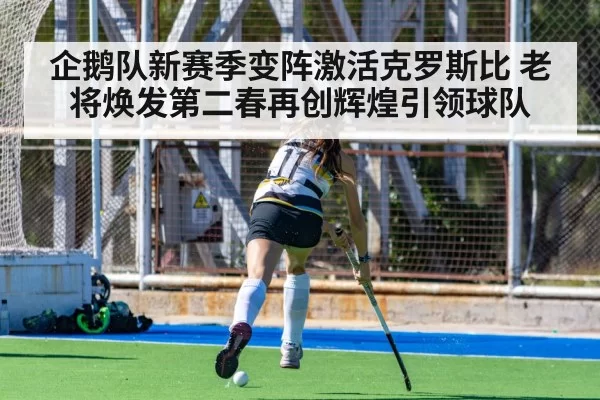 hockey player action